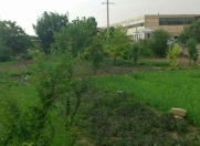 Satılır 6 sot torpaq Naxçıvan