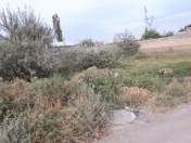 Satılır 6 sot torpaq Naxçıvan