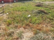 Satılır 12 sot torpaq Lənkəran