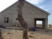 Satılır 3 otaqlı 220 m2 bağ evi Pirşağı