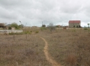 Satılır 100 sot torpaq Maştağa