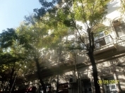 İcarəyə verilir 3 otaqlı 120 m2 köhnə tikili Molokan bağı