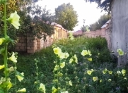 Satılır 12 sot torpaq İsmayıllı