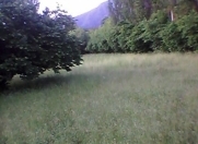 Satılır 15 sot torpaq İsmayıllı