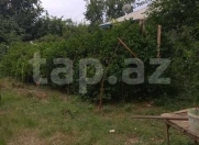 Satılır 10 sot torpaq Lənkəran