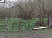 Satılır 12 sot torpaq Qax