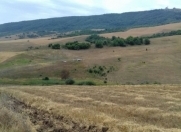 Satılır 72 sot torpaq Şamaxı