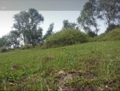 Satılır 6 sot torpaq Lənkəran