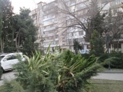 Satılır 5 otaqlı 118 m2 köhnə tikili 8 mkr