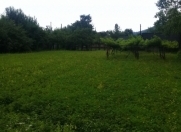 Satılır 15 sot torpaq Qax