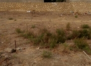 Satılır 7 sot torpaq Masazır