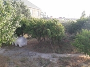 Satılır 6 sot torpaq Buzovna