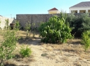 Satılır 1 otaqlı 500 m2 bağ evi Dübəndi bağları