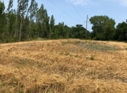 Satılır 52 sot torpaq Xaçmaz