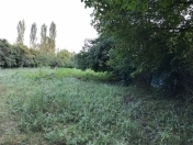 Satılır 22 sot torpaq İsmayıllı