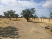 Satılır 0.53 sot torpaq Masazır