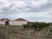 Satılır 100 sot torpaq Qusar