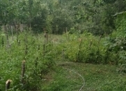 Satılır 10 sot torpaq Xaçmaz