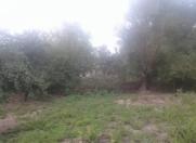 Satılır 30 sot torpaq Şabran