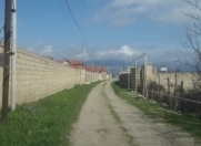 Satılır 30 sot torpaq Şamaxı