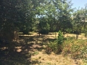 Satılır 6 sot torpaq Oğuz