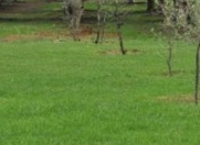 Satılır 25 sot torpaq Buzovna