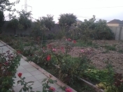 Satılır 3.5 sot torpaq Masazır