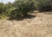 Satılır 3.4 sot torpaq Sumqayıt