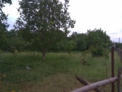 Satılır 35 sot torpaq İsmayıllı