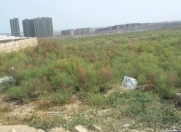 Satılır 2 sot torpaq Masazır