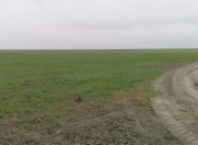 Satılır 4.6 sot torpaq Xaçmaz