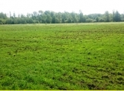 Satılır 400 sot torpaq İsmayıllı