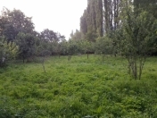 Satılır 24 sot torpaq İsmayıllı