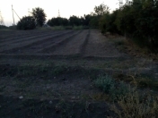 Satılır 8 sot torpaq Gəncə