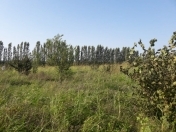 Satılır 12 sot torpaq Xaçmaz