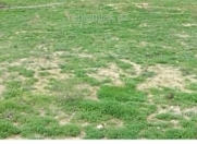 Satılır 20 sot torpaq Xırdalan