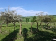 Satılır 10 sot torpaq Quba