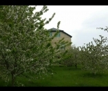 Satılır 12 sot torpaq Quba