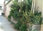 Satılır 4 otaqlı 140 m2 həyət evi Zabrat 1