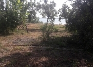 Satılır 6 sot torpaq Mingəçevir