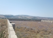 Satılır 24 sot torpaq İsmayıllı