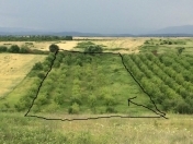 Satılır 72 sot torpaq Quba