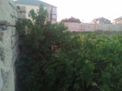 Satılır 6 sot torpaq Novxanı