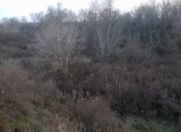 Satılır 241 sot torpaq Xaçmaz