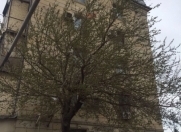 Satılır 3 otaqlı 75 m2 köhnə tikili Musabəyov parkı