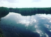 Satılır 90 sot torpaq Bərdə