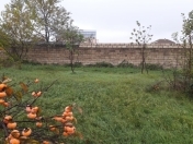 Satılır 10 sot torpaq Xaçmaz