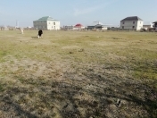 Satılır 30 sot torpaq Kürdəmir