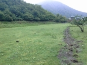 Satılır 2 sot torpaq Qax