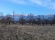 Satılır 10 sot torpaq İsmayıllı